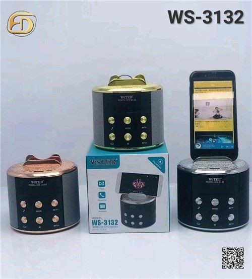 Wster WS-3132 Wireless Portable FM Radio Speaker